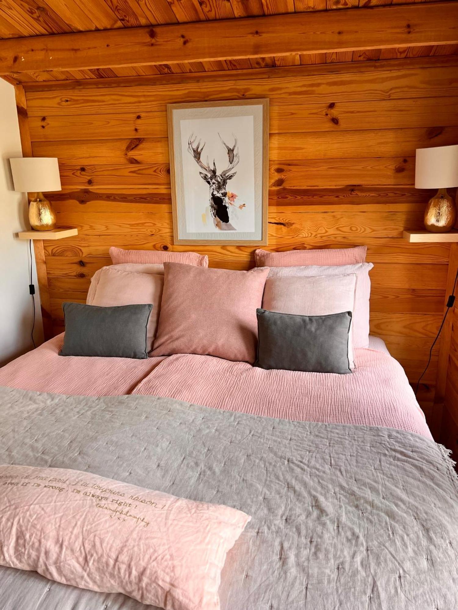 Hygge Lodge Annecy Doussard Eksteriør billede